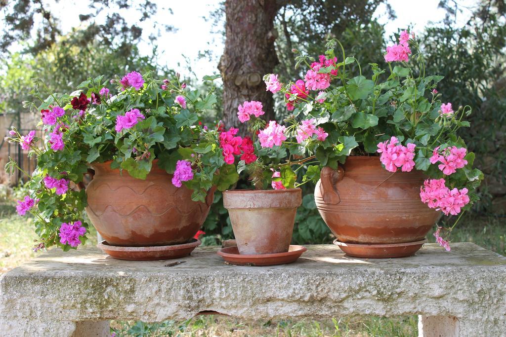Masseria Gianecchia Cisternino Exteriör bild
