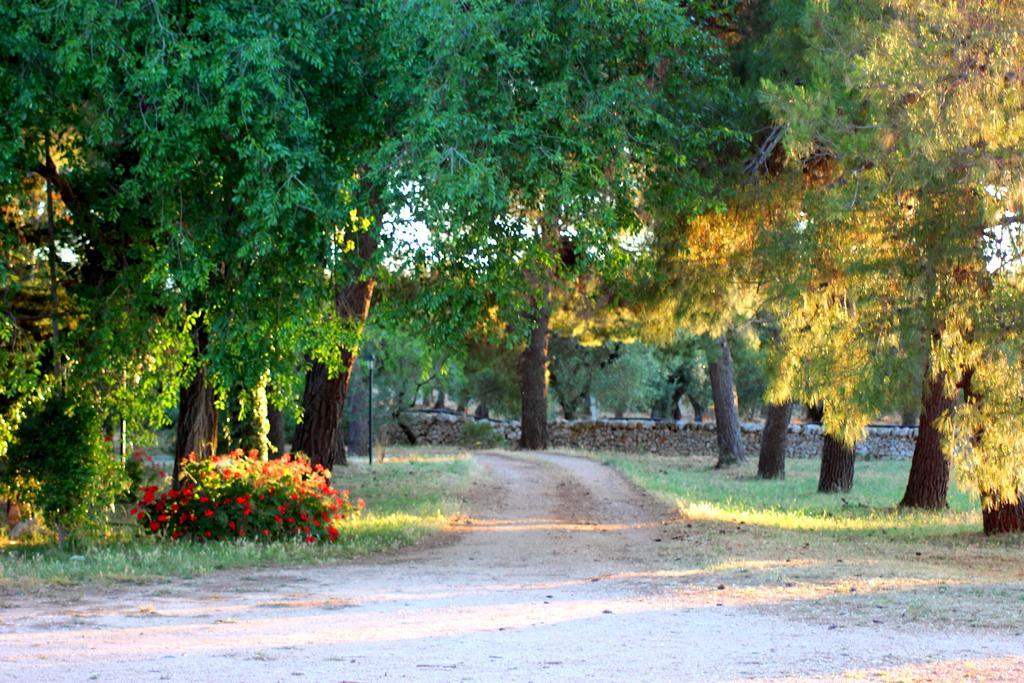 Masseria Gianecchia Cisternino Exteriör bild