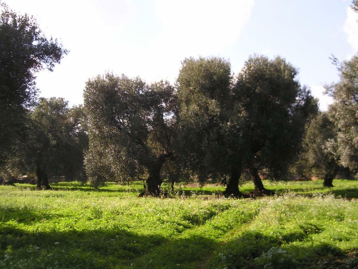 Masseria Gianecchia Cisternino Exteriör bild